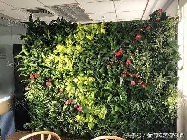 北京创业大厦植物墙项目完工