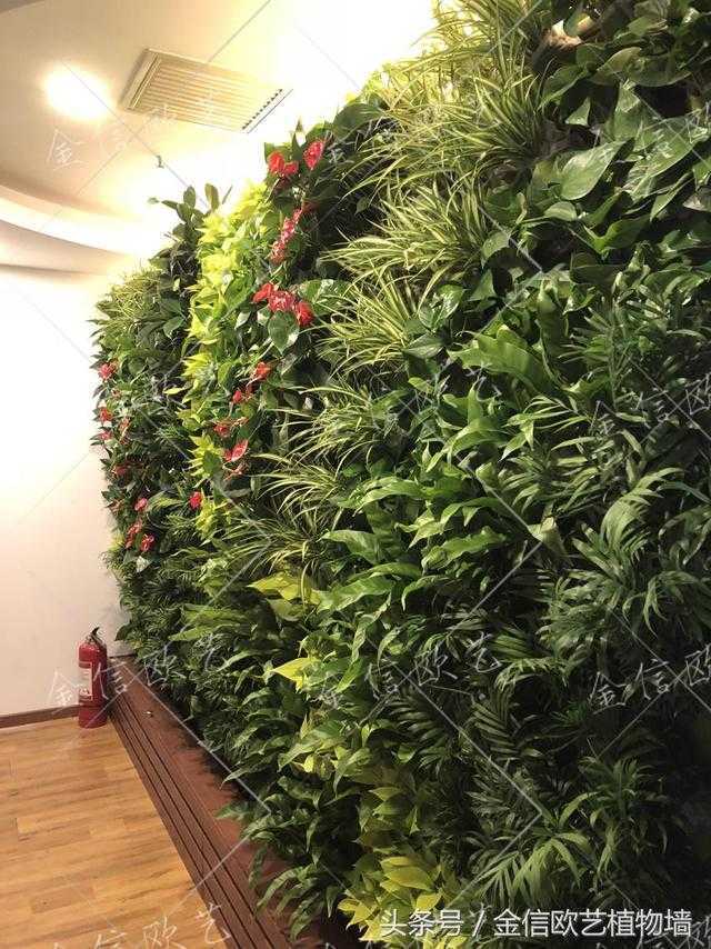 北京创业大厦植物墙项目完工