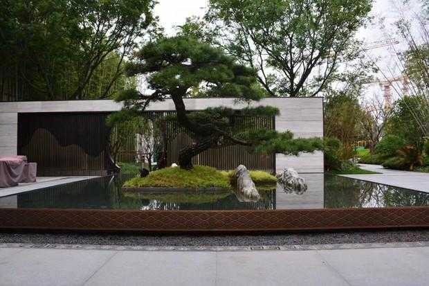 中式庭院的魂——松柏