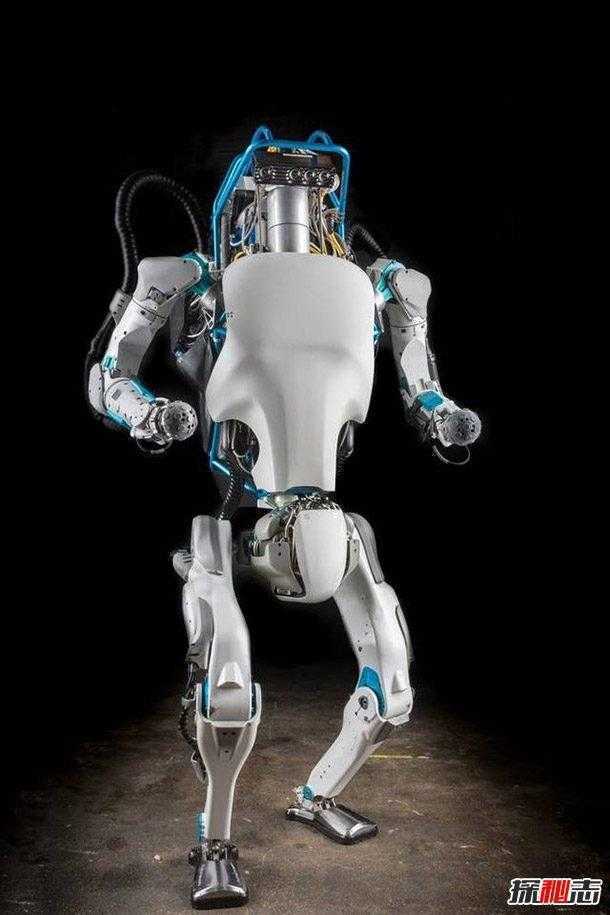 机器人有什么用？关于未来机器人的十大功能