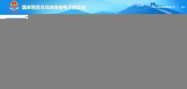 国家税务总局湖南省税务局个体工商户电子税务局在线申报操作指南