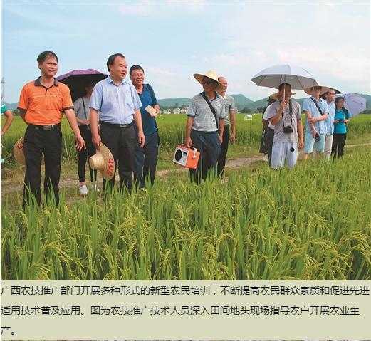 中国农技推广的“广西征象”